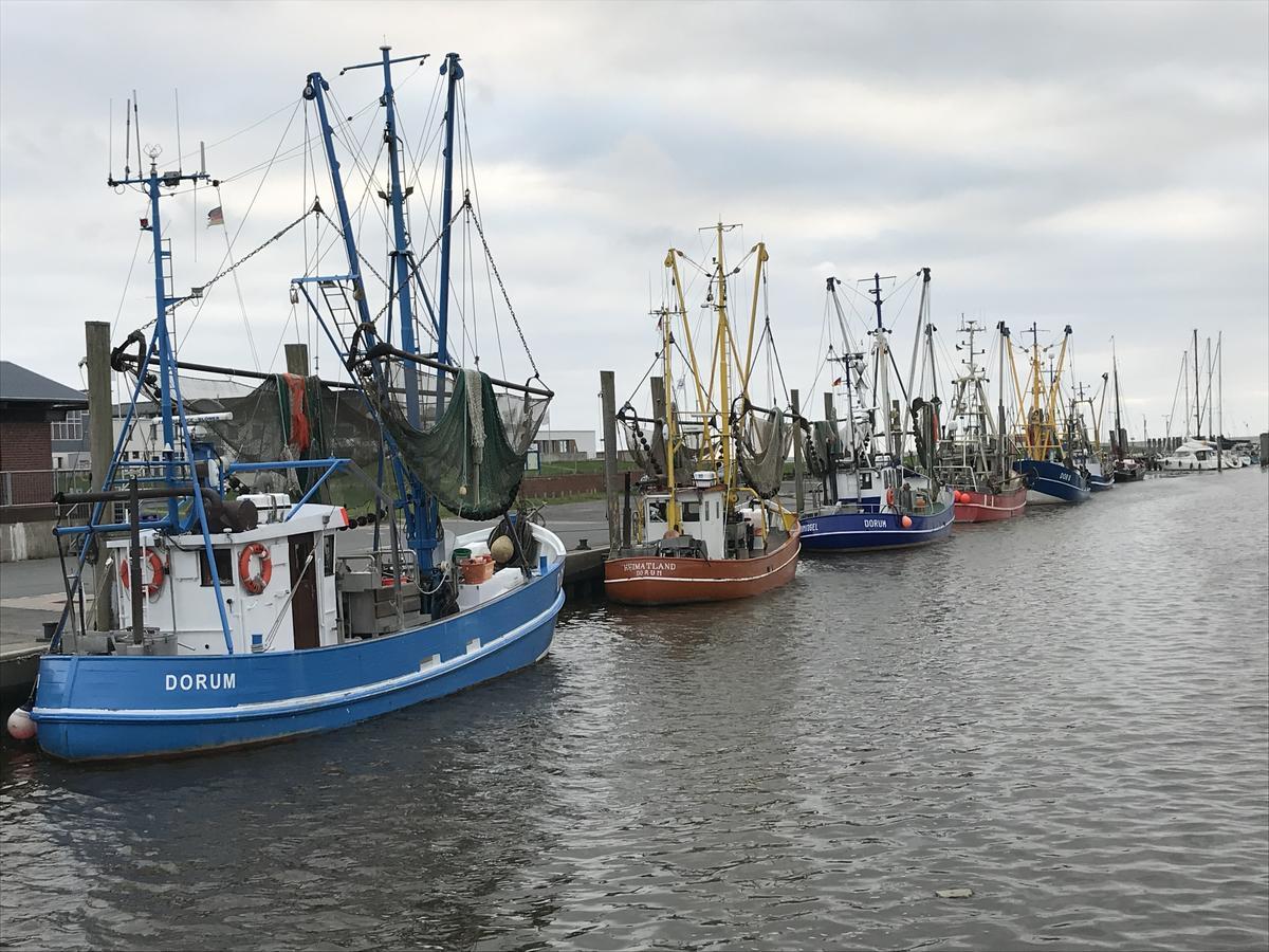 Ferienhaus Strandrauber Dorum-Neufeld Esterno foto